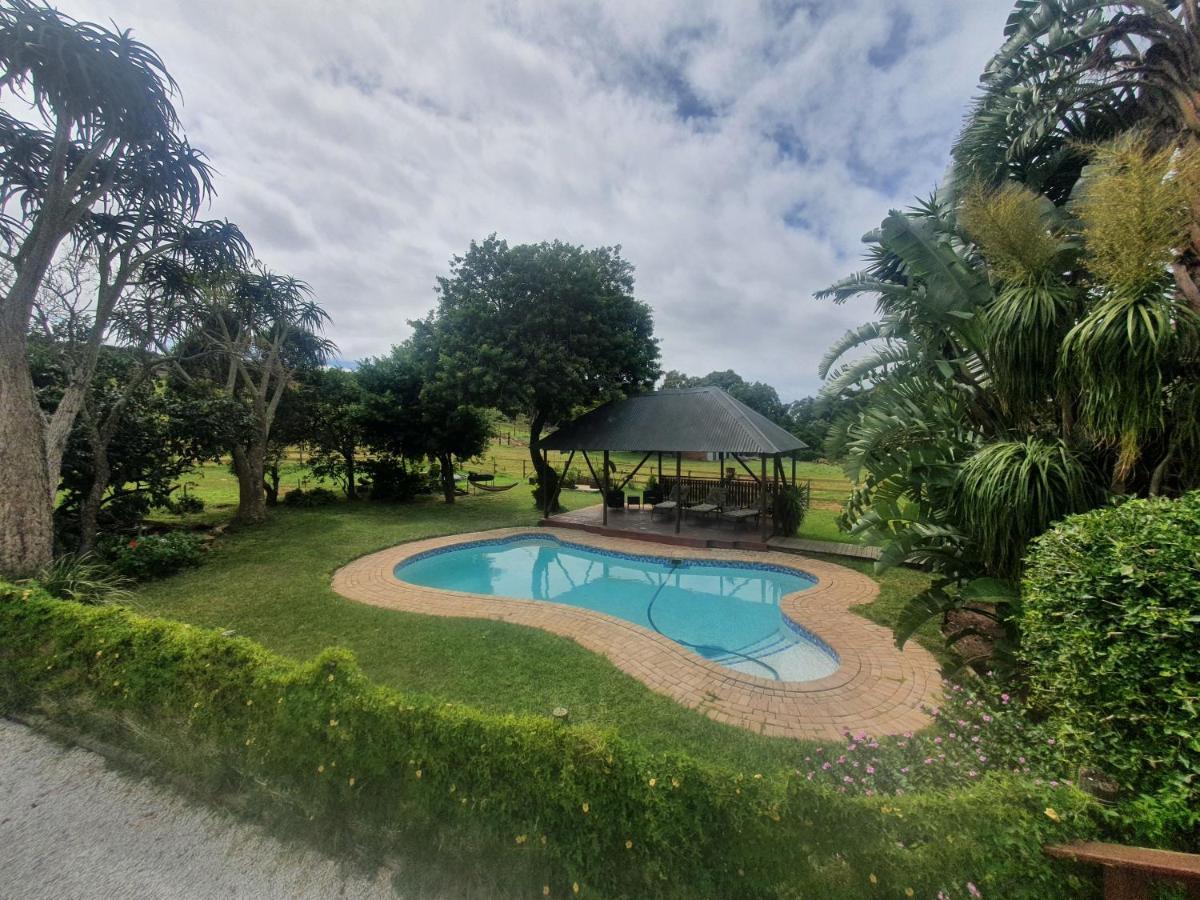 Milkwood Country House Port Elizabeth Kültér fotó